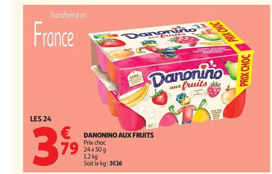 DANONINO AUX FRUITS