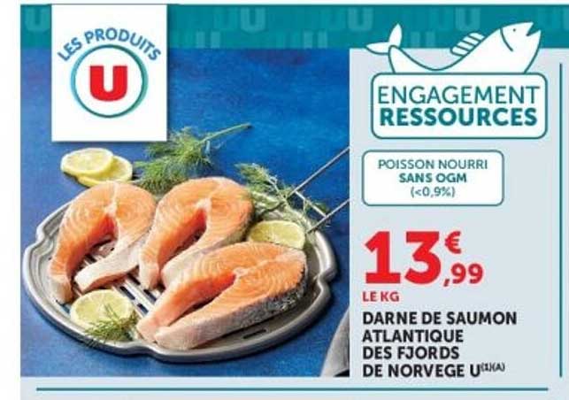 DARNE DE SAUMON ATLANTIQUE DES FJORDS DE NORVEGE U