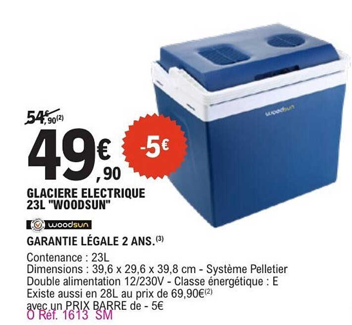 GLACIERE ELECTRIQUE 23L "WOODSUN"