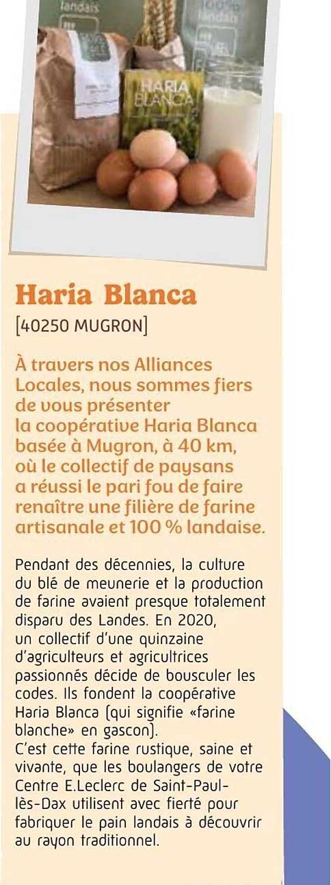 Haria Blanca [40250 MUGRON]