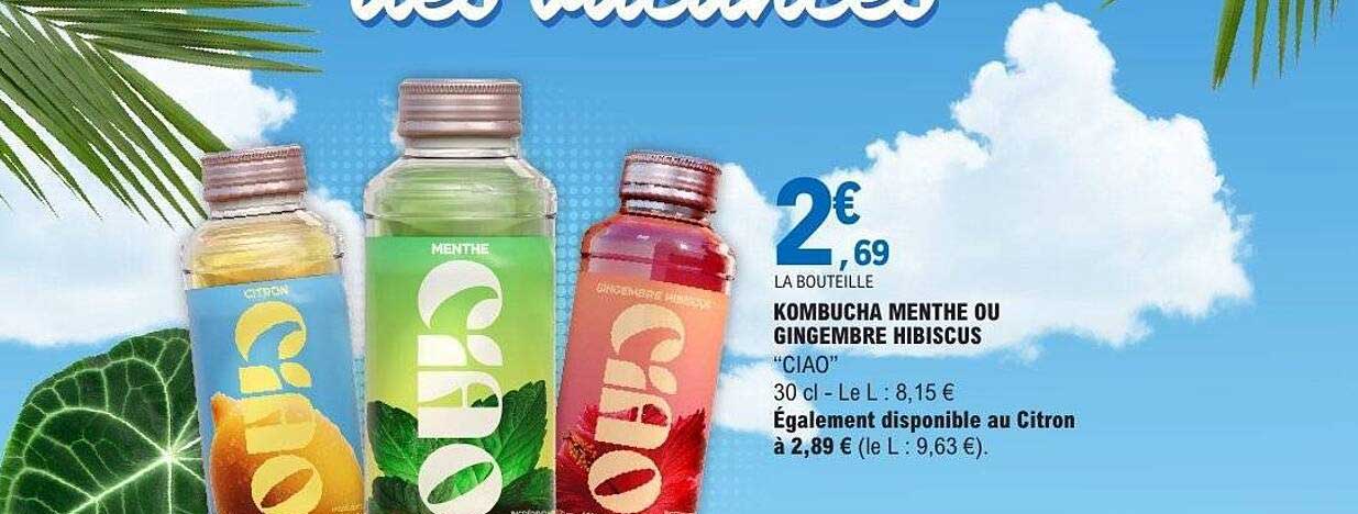KOMBUCHA MENTHE OU GINGEMBRE HIBISCUS “CIAO”