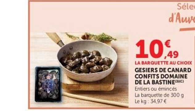 LA BARQUETTE AU CHOIX GESIERS DE CANARD CONFITS DOMAINE DE LA BASTINE (3MC)