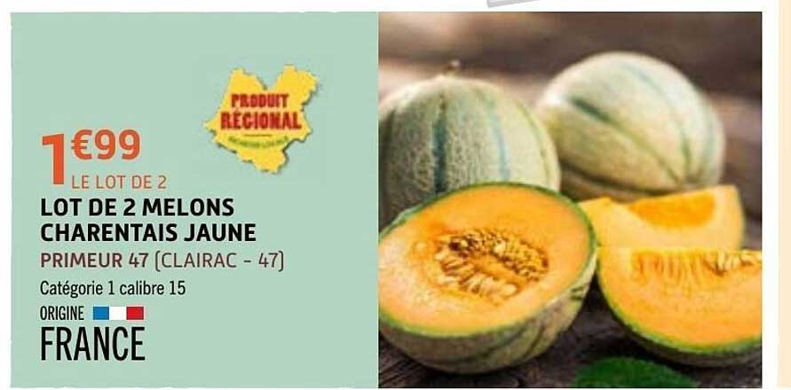 LOT DE 2 MELONS CHARENTAIS JAUNE