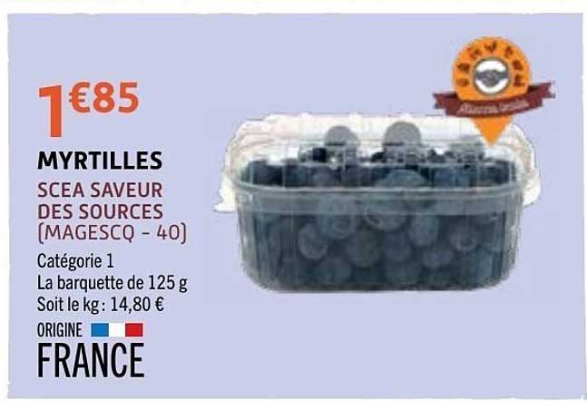 MYRTILLES SCEA SAVEUR DES SOURCES (MAGESCQ - 40)