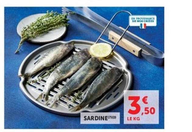 SARDINE (BIO)