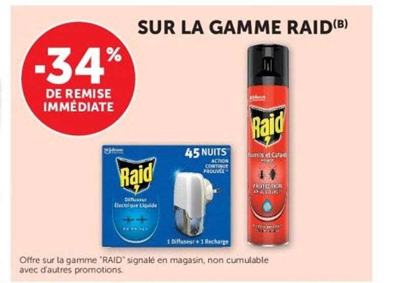 SUR LA GAMME RAID(B)