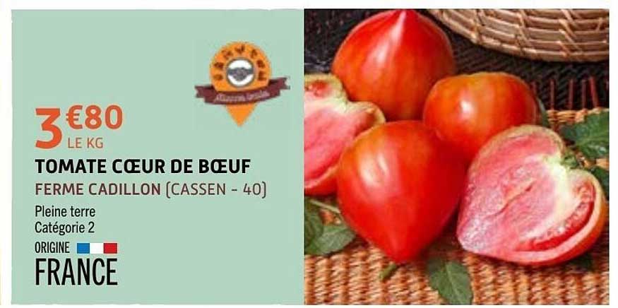 TOMATE CŒUR DE BŒUF
