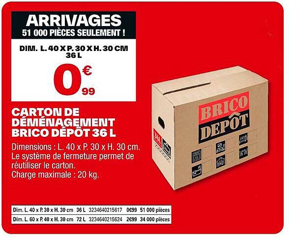 CARTON DE DÉMÉNAGEMENT BRICO DÉPÔT 36 L