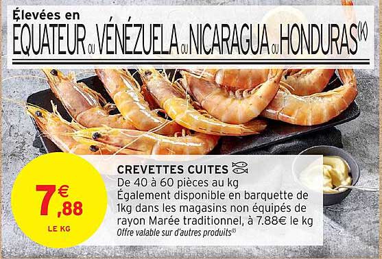 CREVETTES CUITES