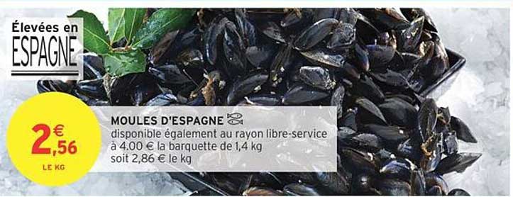 MOULES D'ESPAGNE