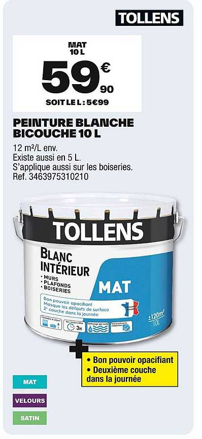 PEINTURE BLANCHE BICOUCHE 10 L