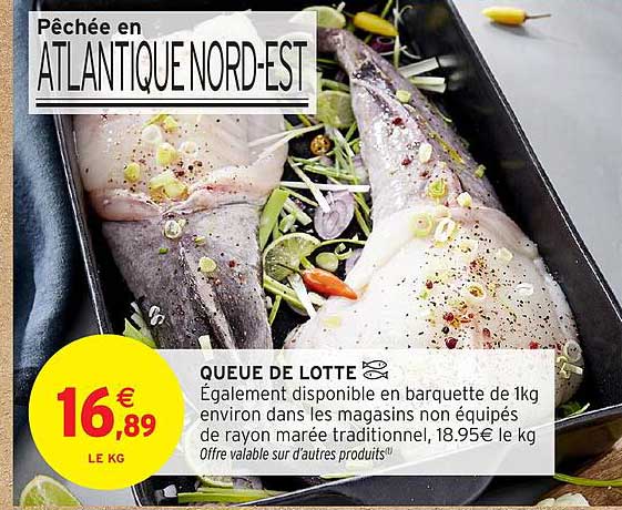 QUEUE DE LOTTE