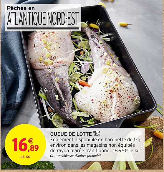 QUEUE DE LOTTE