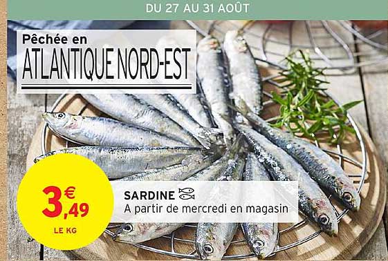 SARDINE