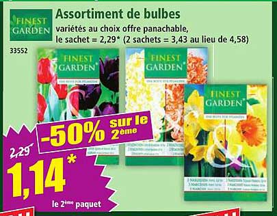 Assortiment de bulbes