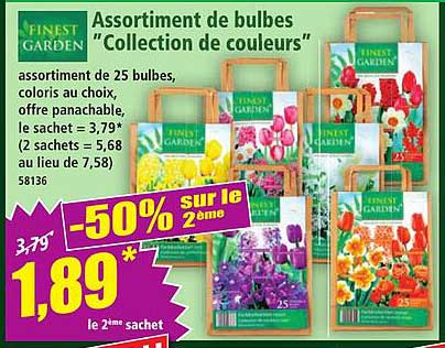 Assortiment de bulbes “Collection de couleurs”