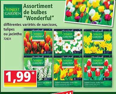 Assortiment de bulbes "Wonderful" différentes variétés de narcisses, tulipes ou jacinthe 72631
