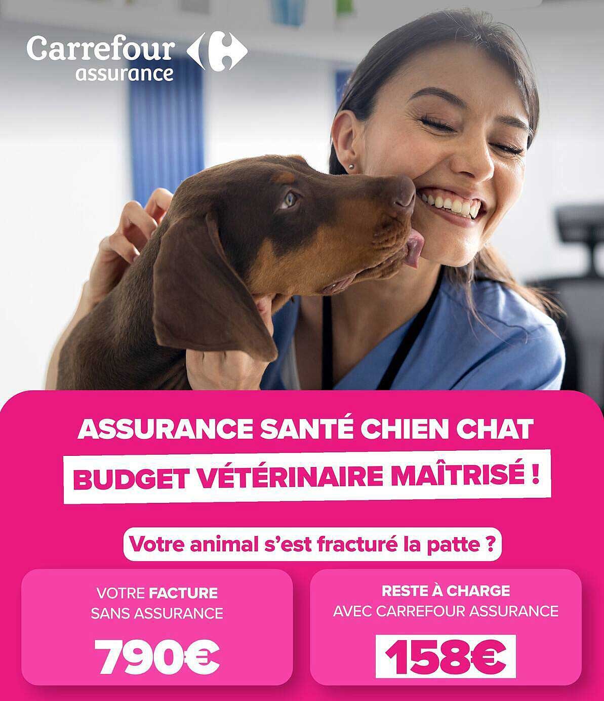 ASSURANCE SANTÉ CHIEN CHAT