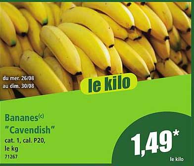 Bananes(c) "Cavendish"
