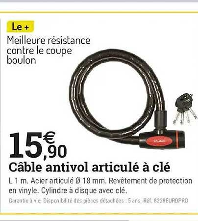 Câble antivol articulé à clé