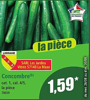 Concombre( b) cat. 1, cal. 4/5, la pièce