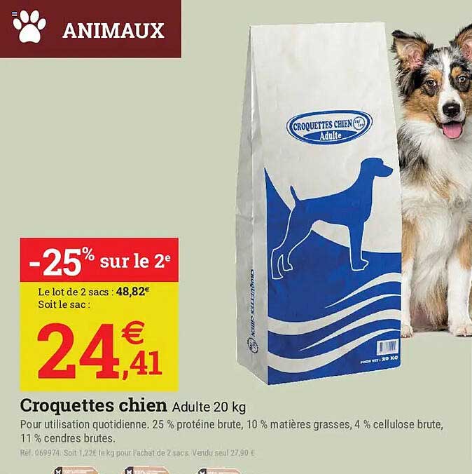 Croquettes chien Adulte 20 kg