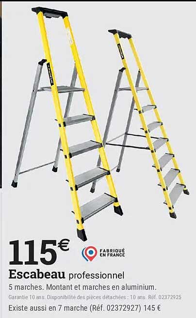 Escabeau professionnel