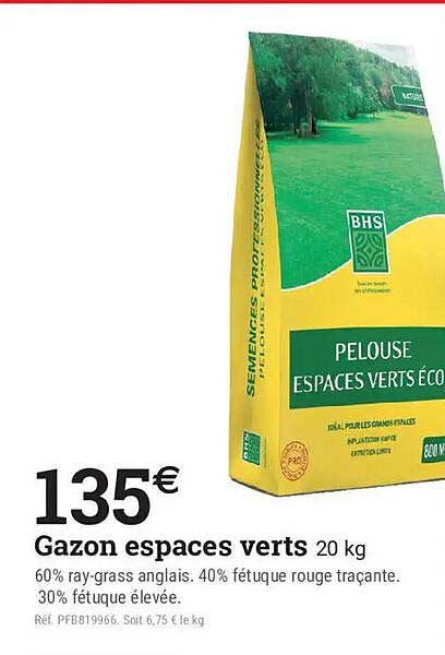 GAZON ESPACES VERTS 20 kg