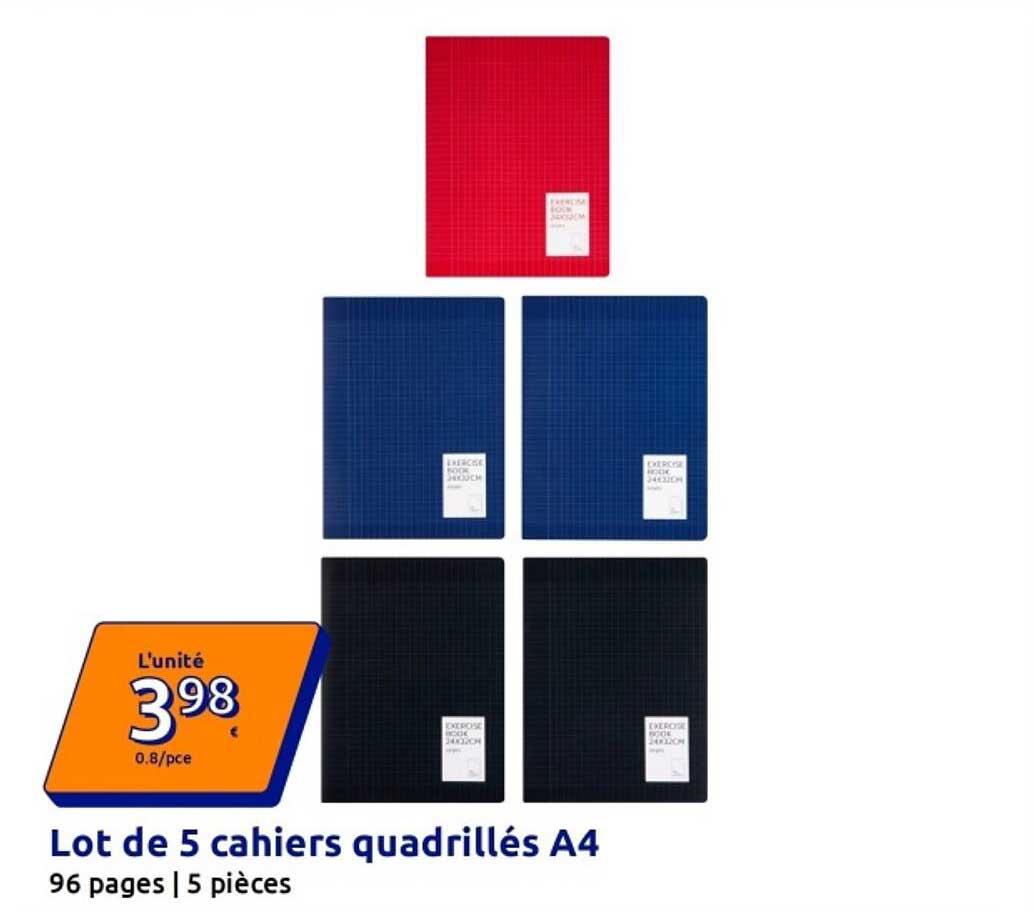 Lot de 5 cahiers quadrillés A4