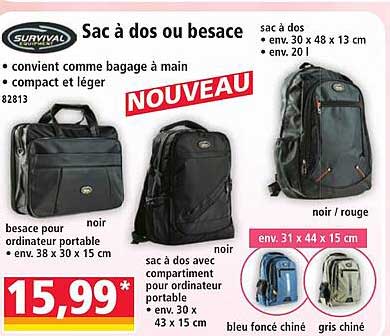 Sac à dos ou besace