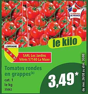 Tomates rondes en grappes(b)