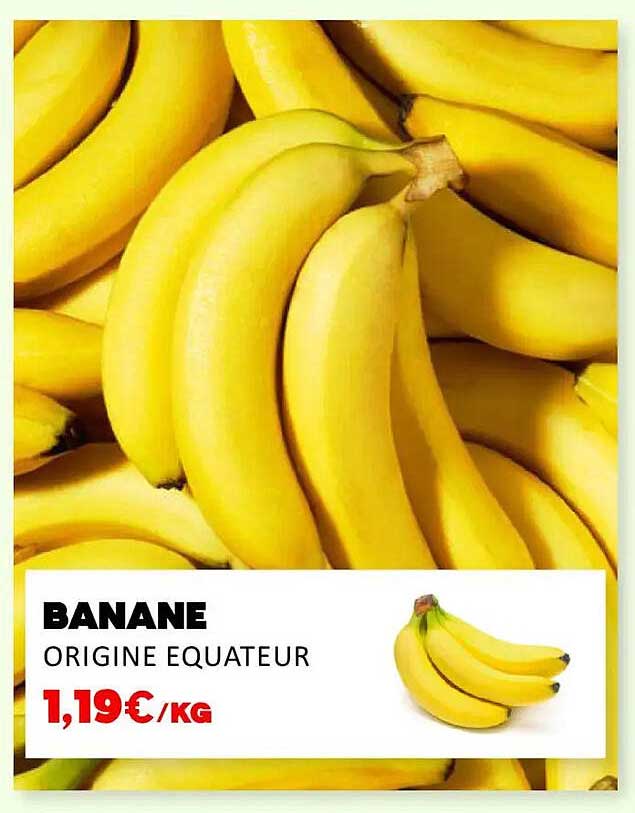 BANANE ORIGINE EQUATEUR