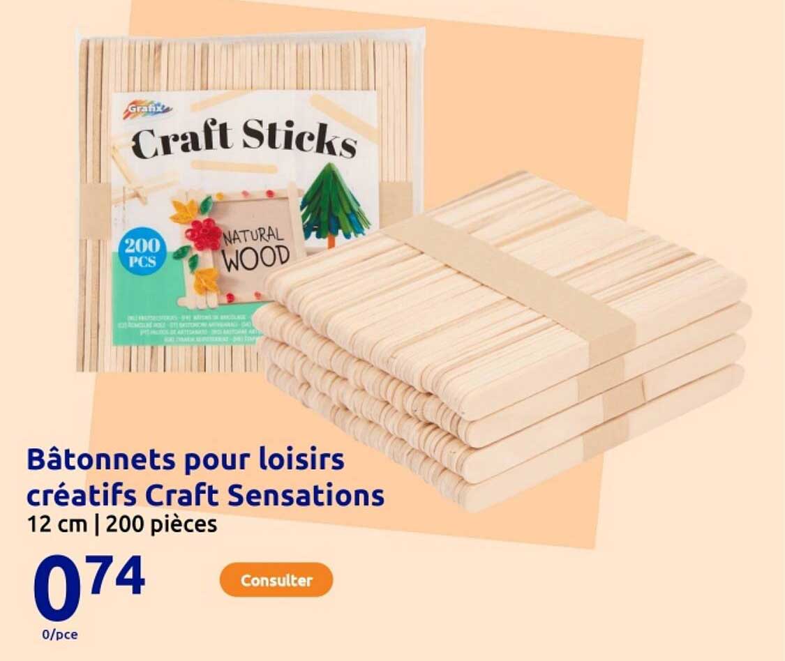 Bâtonnets pour loisirs créatifs Craft Sensations