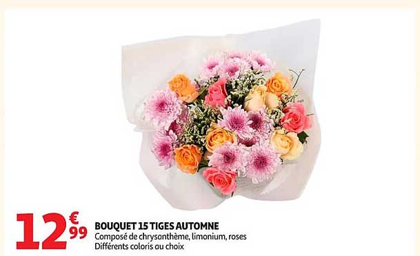 BOUQUET 15 TIGES AUTOMNE