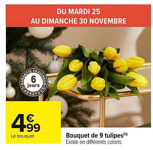 Bouquet de 9 tulipes