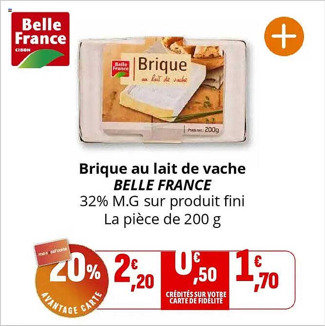 Brique au lait de vache BELLE FRANCE