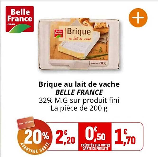 Brique au lait de vache BELLE FRANCE