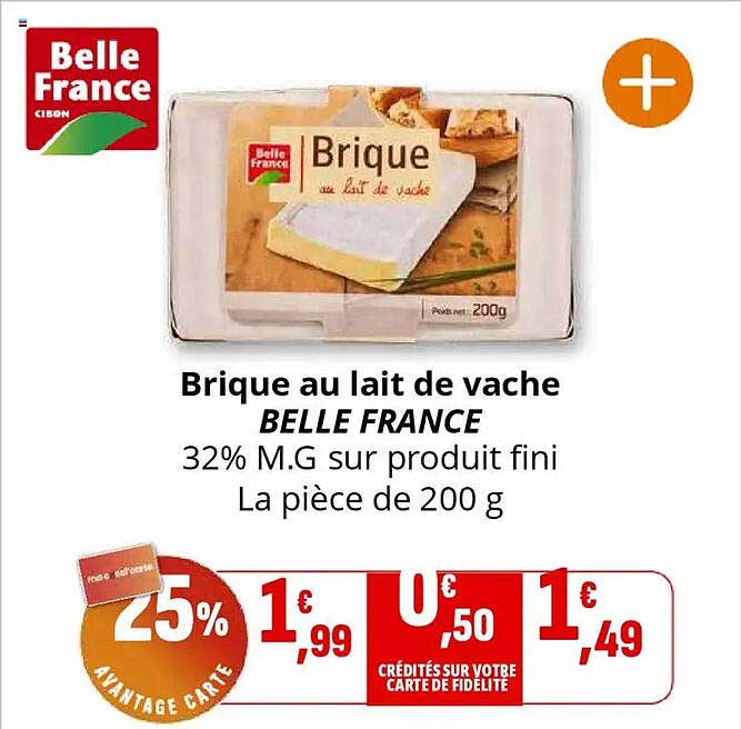 Brique au lait de vache BELLE FRANCE