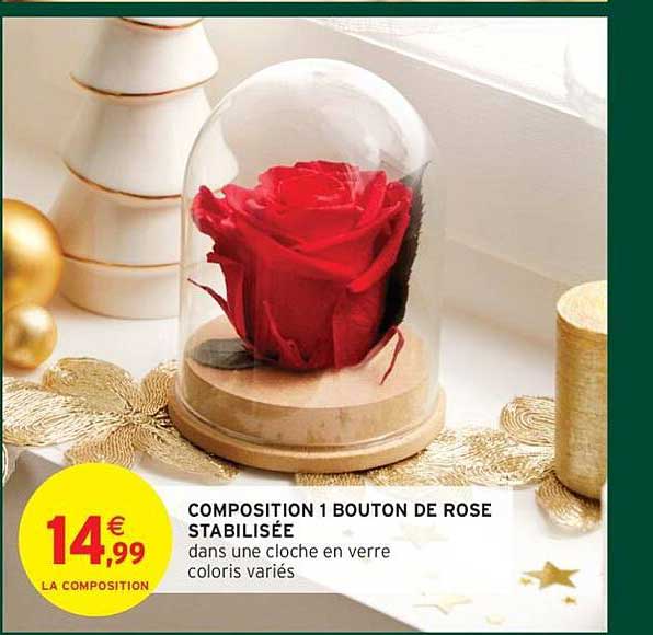 COMPOSITION 1 BOUTON DE ROSE STABILISÉE