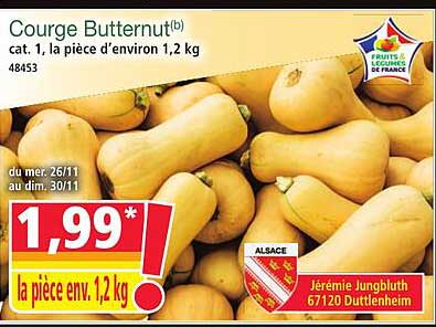 Courge Butternut