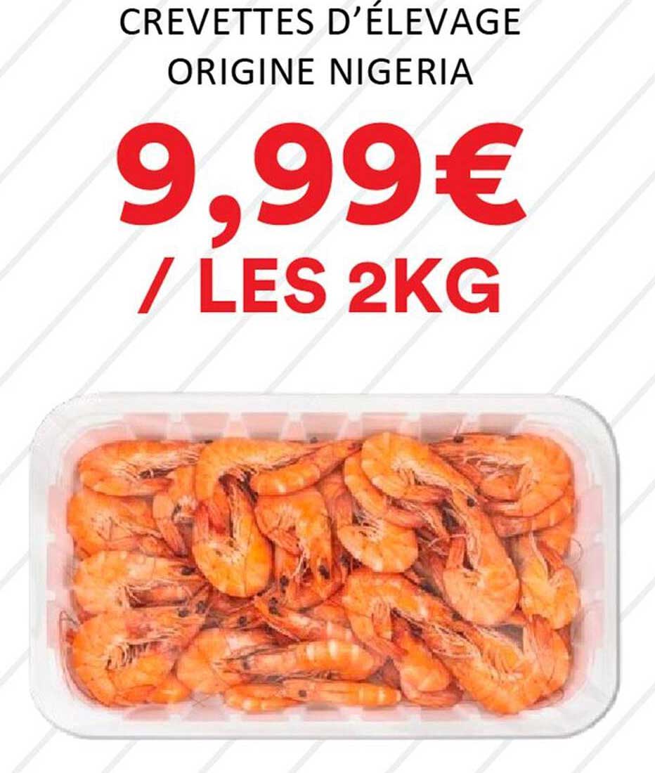 CREVETTES D'ÉLEVAGE ORIGINE NIGERIA