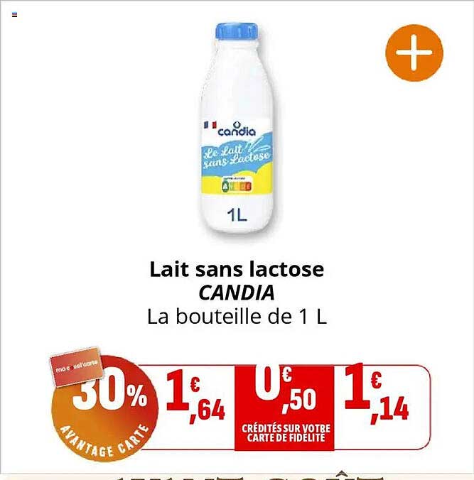 Lait sans lactose CANDIA - La bouteille de 1 L