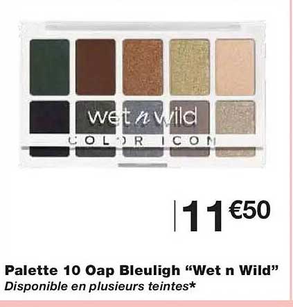 Palette 10 Oap Bleuligh “Wet n Wild”