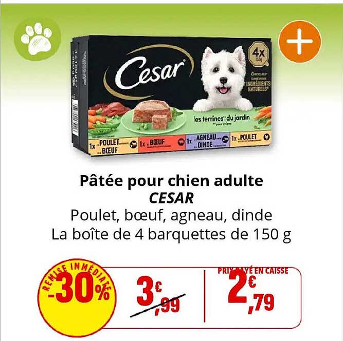 Pâtée pour chien adulte CESAR