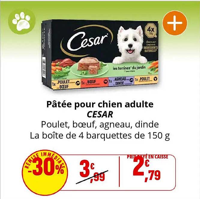 Pâtée pour chien adulte CESAR
