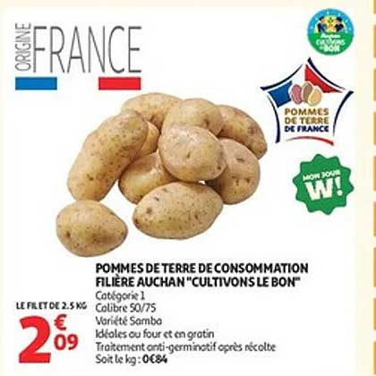 POMMES DE TERRE DE CONSOMMATION FILIÈRE AUCHAN "CULTIVONS LE BON"