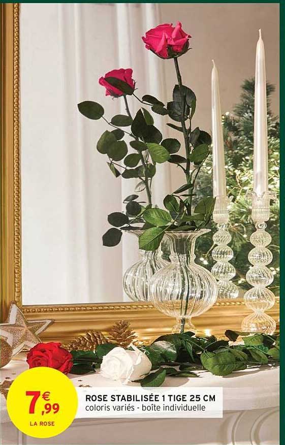 ROSE STABILISÉE 1 TIGES 25 CM