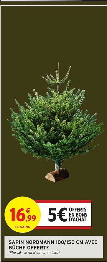 SAPIN NORDMANN 100/150 CM AVEC BÛCHE OFFERT