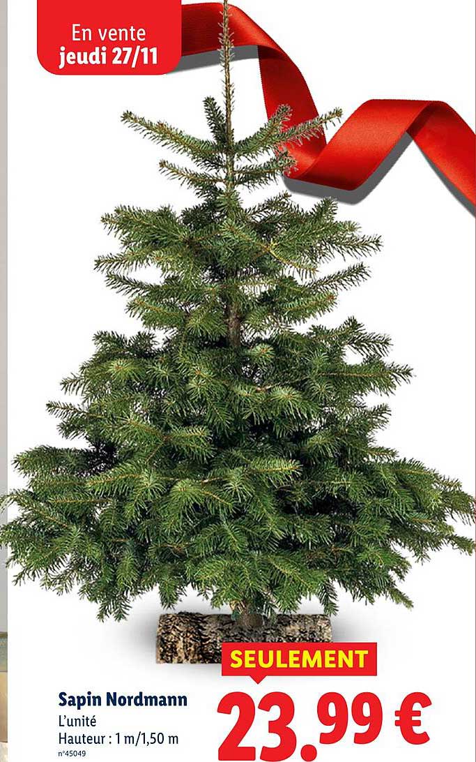 Sapins Nordmann - SEULEMENT 23,99 €