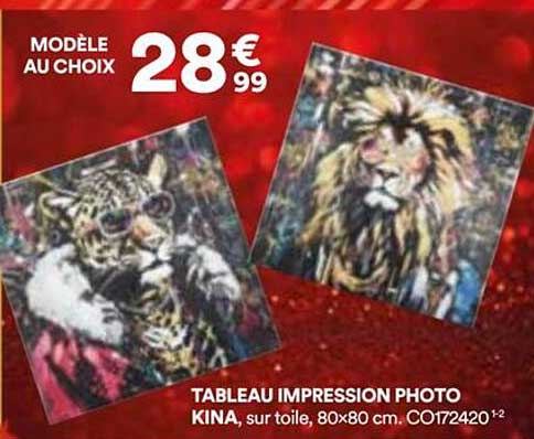 TABLEAU IMPRESSION PHOTO KINA